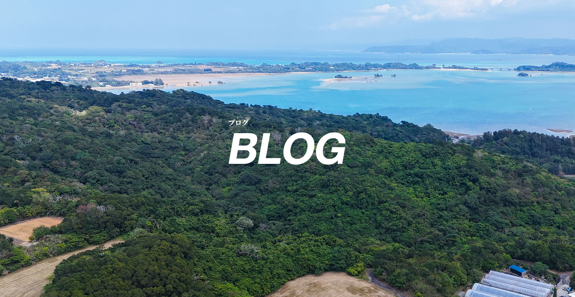 オフィシャルブログ